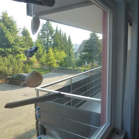 Moderne, Ruhige Ferienwohnung In Braunlage Harz Inkl Wlan & Netflix Exterior photo