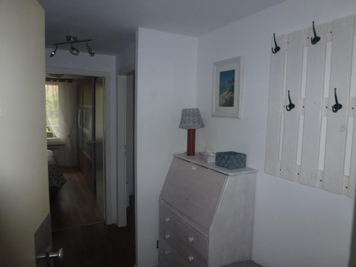 Moderne, Ruhige Ferienwohnung In Braunlage Harz Inkl Wlan & Netflix Exterior photo
