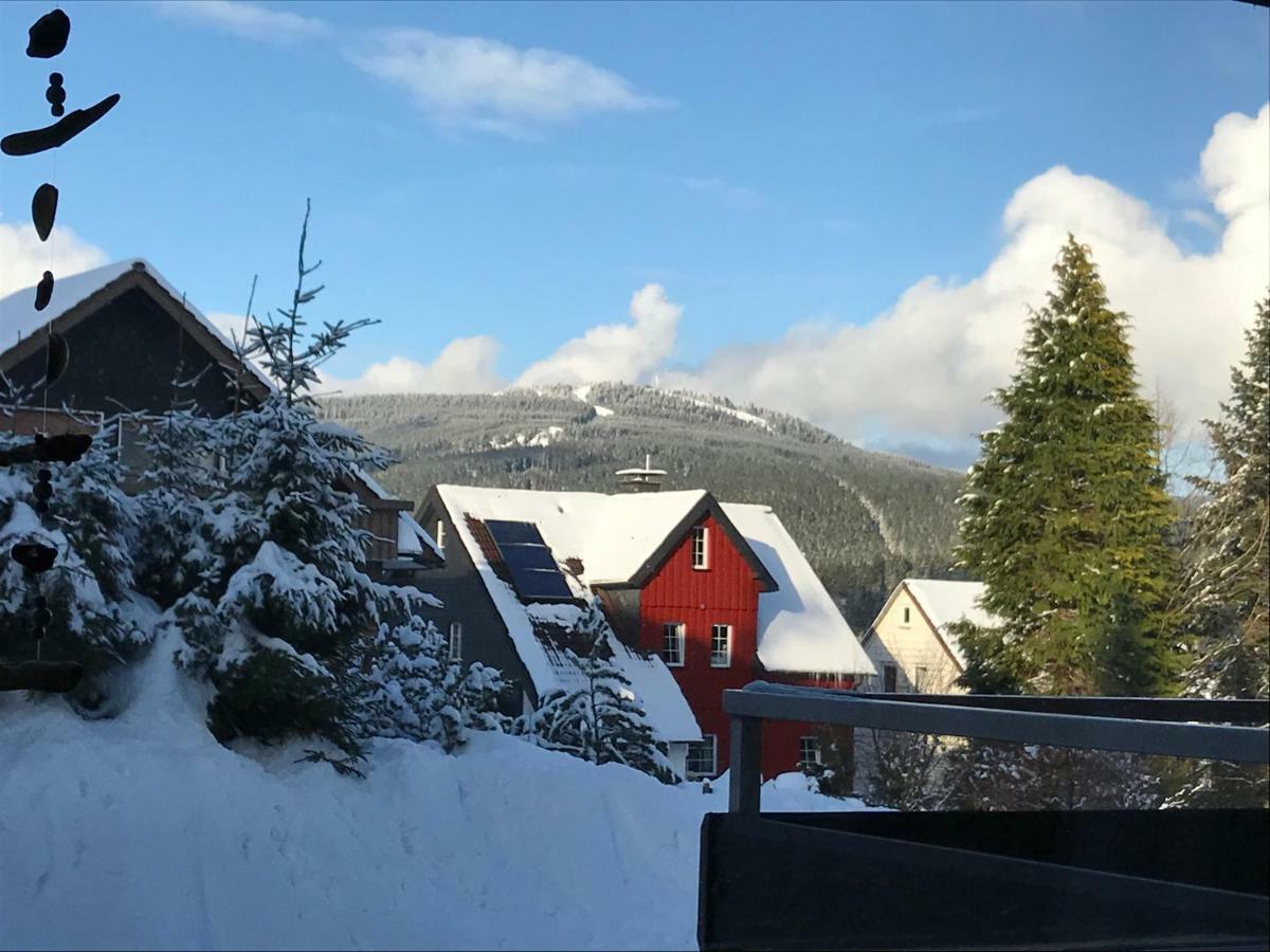 Moderne, Ruhige Ferienwohnung In Braunlage Harz Inkl Wlan & Netflix Exterior photo